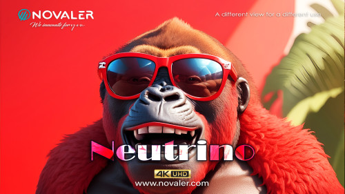 Neutrino