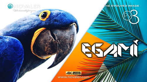 Egami 10.6-r2 - Image Vierge